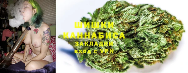 Альфа ПВП Елизово