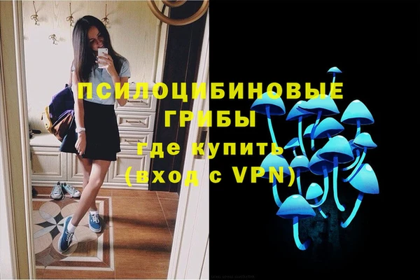 Альфа ПВП Елизово