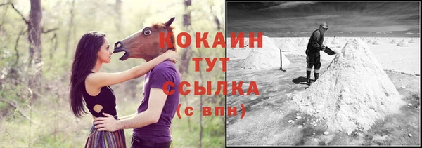 Альфа ПВП Елизово